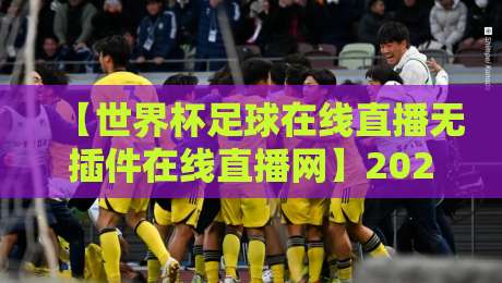 【世界杯足球在线直播无插件在线直播网】2026观赛指南:免插件高清源实测推荐