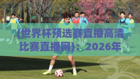 (世界杯预选赛直播高清比赛直播网):2026年最新观赛指南,别让卡顿毁了你的激情时刻