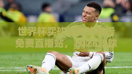 世界杯买球站在线观看免费直播站,2026年球迷必藏的观赛神器(世界杯买球站在线观看免费直播站)