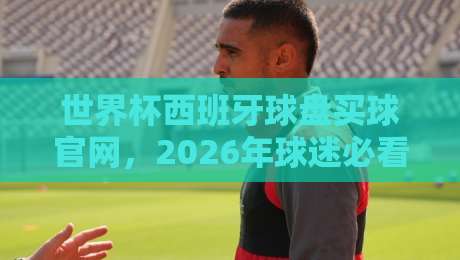 世界杯西班牙球盘买球官网,2026年球迷必看的安全购彩指南 世界杯西班牙球盘买球官网,2026年球迷必看的安全购彩指南