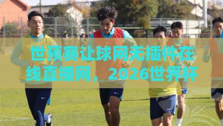 世预赛让球网无插件在线直播网,2026世界杯预选赛看球新姿势