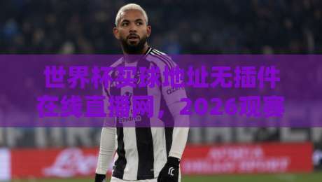 世界杯买球地址无插件在线直播网，2026观赛新选择（干货）