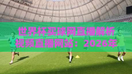 世界杯买球网直播解析视频直播网站:2026年球迷必看的观赛新玩法