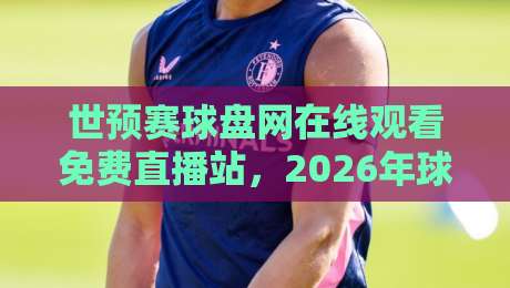 世预赛球盘网在线观看免费直播站,2026年球迷必备的观赛神器!