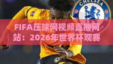 FIFA压球网视频直播网站:2026年世界杯观赛新体验(FIFA压球网视频直播网站)