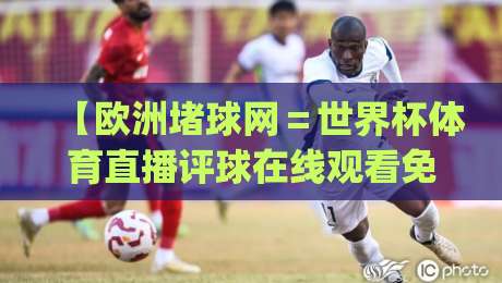 【欧洲堵球网=世界杯体育直播评球在线观看免费直播站】——2026球迷必备的观赛神器,你get了吗?