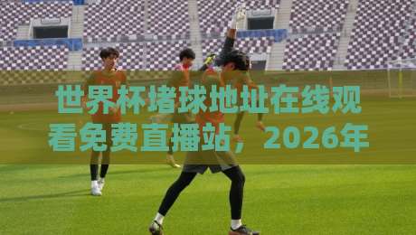 世界杯堵球地址在线观看免费直播站，2026年最全观赛指南来了