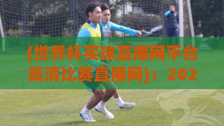 (世界杯买球直播网平台高清比赛直播网):2026年观赛新选择,高清流畅不卡顿