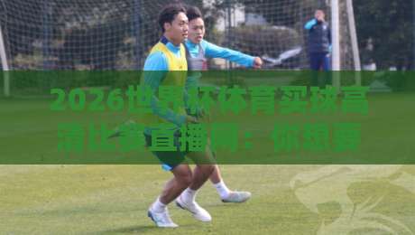 2026世界杯体育买球高清比赛直播网:你想要的观赛体验,这里全都有