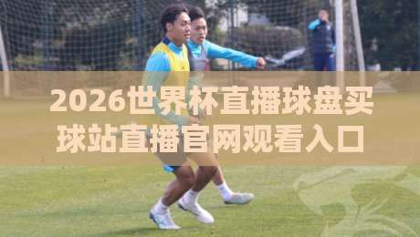 2026世界杯直播球盘买球站直播官网观看入口,这些细节你不能错过