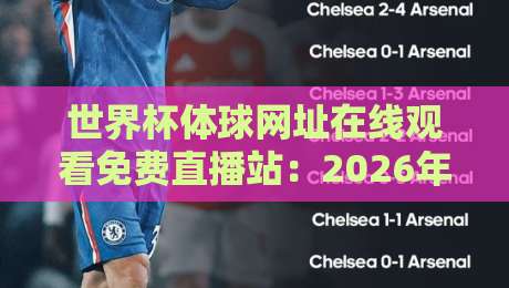 世界杯体球网址在线观看免费直播站:2026年最新观赛指南与避坑攻略