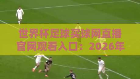 世界杯足球买球网直播官网观看入口:2026年最新实测指南与避坑技巧