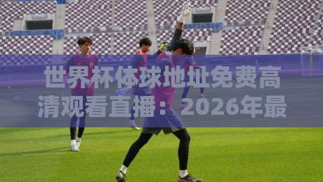 世界杯体球地址免费高清观看直播:2026年最新观赛渠道与避坑指南(世界杯体球地址)球迷必看