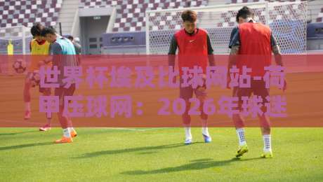 世界杯埃及比球网站-荷甲压球网：2026年球迷必看的投注攻略与实战技巧