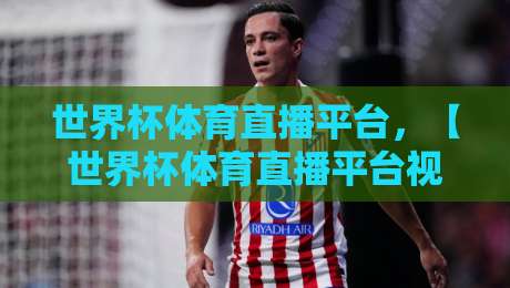 世界杯体育直播平台，【世界杯体育直播平台视频直播网站】选哪个？2026观赛指南