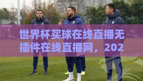 世界杯买球在线直播无插件在线直播网，2026年观赛首选：高清无插件，畅享世界杯激情