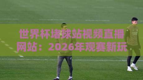世界杯堵球站视频直播网站:2026年观赛新玩法与风险避坑指南