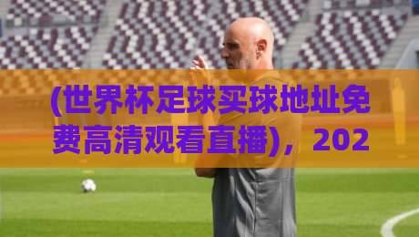 (世界杯足球买球地址免费高清观看直播),2026年官方指南一网打尽!