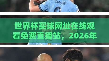 世界杯买球网址在线观看免费直播站,2026年这些合法渠道更靠谱!