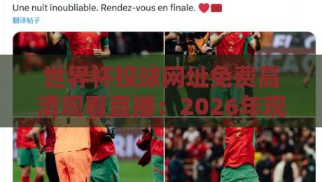 世界杯投球网址免费高清观看直播：2026年观赛指南，这些平台靠谱不？