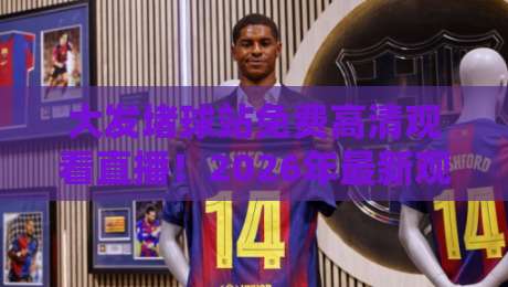 大发堵球站免费高清观看直播！2026年最新观赛体验实测