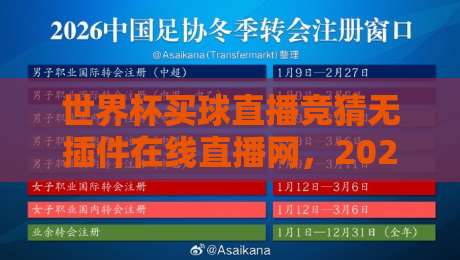 世界杯买球直播竞猜无插件在线直播网，2026年球迷必藏的观赛指南！