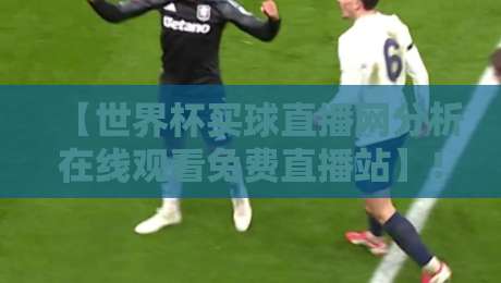 【世界杯买球直播网分析在线观看免费直播站】!2026年如何选靠谱平台?