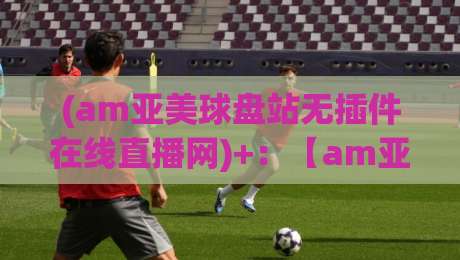 (am亚美球盘站无插件在线直播网)+：【am亚美球盘站无插件在线直播网】2026年体育迷必备的观赛神器