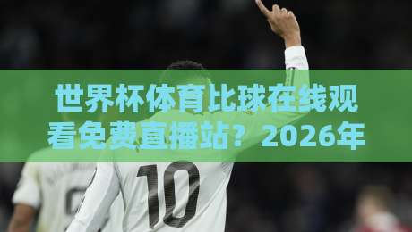 世界杯体育比球在线观看免费直播站?2026年观赛的正确打开方式!