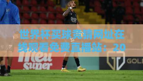 世界杯买球竞猜网址在线观看免费直播站:2026年球迷必知的五大避坑指南