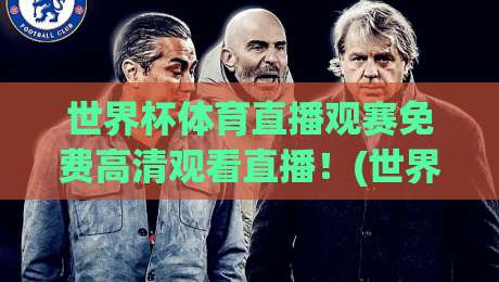 世界杯体育直播观赛免费高清观看直播！(世界杯体育直播) 2026年最全免费高清平台与避坑指南