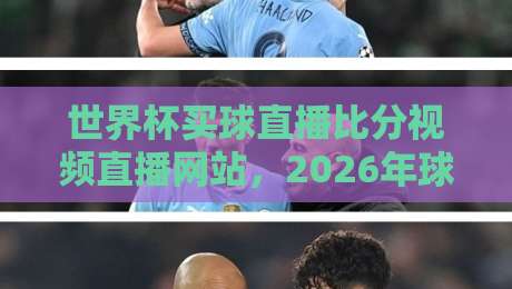 世界杯买球直播比分视频直播网站,2026年球迷必看的五大平台对比