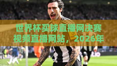 世界杯买球直播网决赛视频直播网站,2026年世界杯决赛观看指南