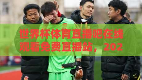 世界杯体育直播吧在线观看免费直播站,2026年球迷的观赛指南来了!