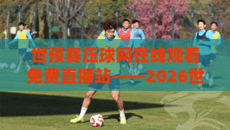 世预赛压球网在线观看免费直播站——2026世界杯亚洲区预选赛观赛全攻略