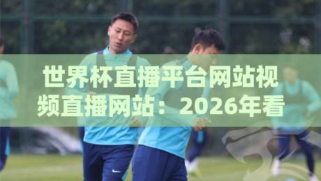 世界杯直播平台网站视频直播网站:2026年看球攻略与实测体验