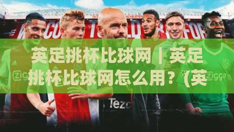 英足挑杯比球网｜英足挑杯比球网怎么用？(英足挑杯比球网)实战拆解+英足挑杯比球网数据逻辑-网上热门比球网回放无广告全场录像公司比分下盘