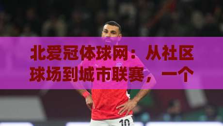 北爱冠体球网：从社区球场到城市联赛，一个被低估的连接器 | 北爱冠体球网如何重塑业余足球体验？-网上热门压球站无需登录对比大礼包导航小球粤语解说