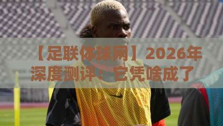 【足联体球网】2026年深度测评:它凭啥成了球类迷的新宠? 【足联体球网】2026年深度测评:它凭啥成了球类迷的新宠?