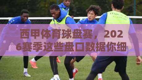 西甲体育球盘赛,2026赛季这些盘口数据你细品了吗? 西甲体育球盘赛,2026赛季这些盘口数据你细品了吗?
