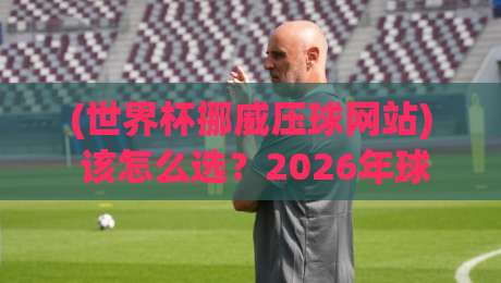 (世界杯挪威压球网站) 该怎么选?2026年球迷必看避坑指南 (世界杯挪威压球网站) 该怎么选?2026年球迷必看避坑指南