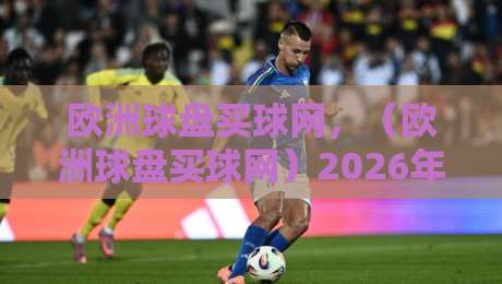 欧洲球盘买球网,(欧洲球盘买球网)2026年最新实战攻略:别再被套路了 欧洲球盘买球网,(欧洲球盘买球网)2026年最新实战攻略:别再被套路了