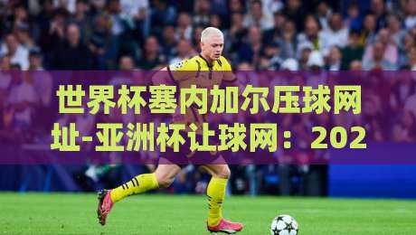 世界杯塞内加尔压球网址-亚洲杯让球网:2026年热门搜索解析(世界杯塞内加尔压球网址)与实战心得 世界杯塞内加尔压球网址-亚洲杯让球网:2026年热门搜索解析(世界杯塞内加尔压球网址)与实战心得