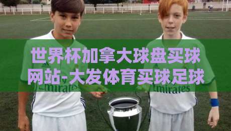世界杯加拿大球盘买球网站-大发体育买球足球体育:2026主场优势下的球盘新玩法 世界杯加拿大球盘买球网站-大发体育买球足球体育:2026主场优势下的球盘新玩法