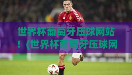 世界杯葡萄牙压球网站!(世界杯葡萄牙压球网站) 2026年实用指南与避坑建议