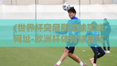 (世界杯突尼斯足球买球网址-欧洲杯体育球盘站)?2026年球迷必看的实用指南 (世界杯突尼斯足球买球网址-欧洲杯体育球盘站)?2026年球迷必看的实用指南