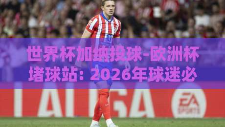 世界杯加纳投球-欧洲杯堵球站: 2026年球迷必看的投球与堵球战术深度解析 世界杯加纳投球-欧洲杯堵球站: 2026年球迷必看的投球与堵球战术深度解析
