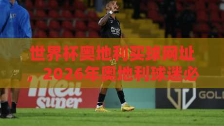 世界杯奥地利买球网址，2026年奥地利球迷必看的合法观赛指南