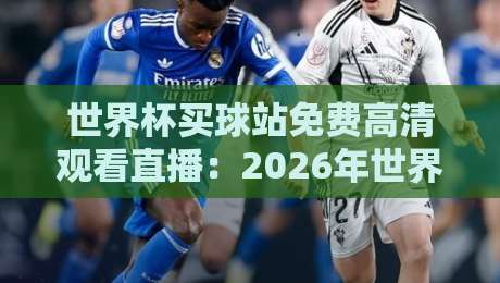 世界杯买球站免费高清观看直播:2026年世界杯观赛指南,教你避开陷阱!