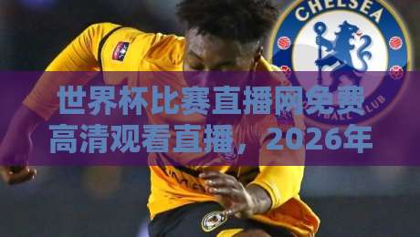 世界杯比赛直播网免费高清观看直播，2026年看球新姿势：这些平台值得收藏（世界杯比赛直播网免费高清观看直播）